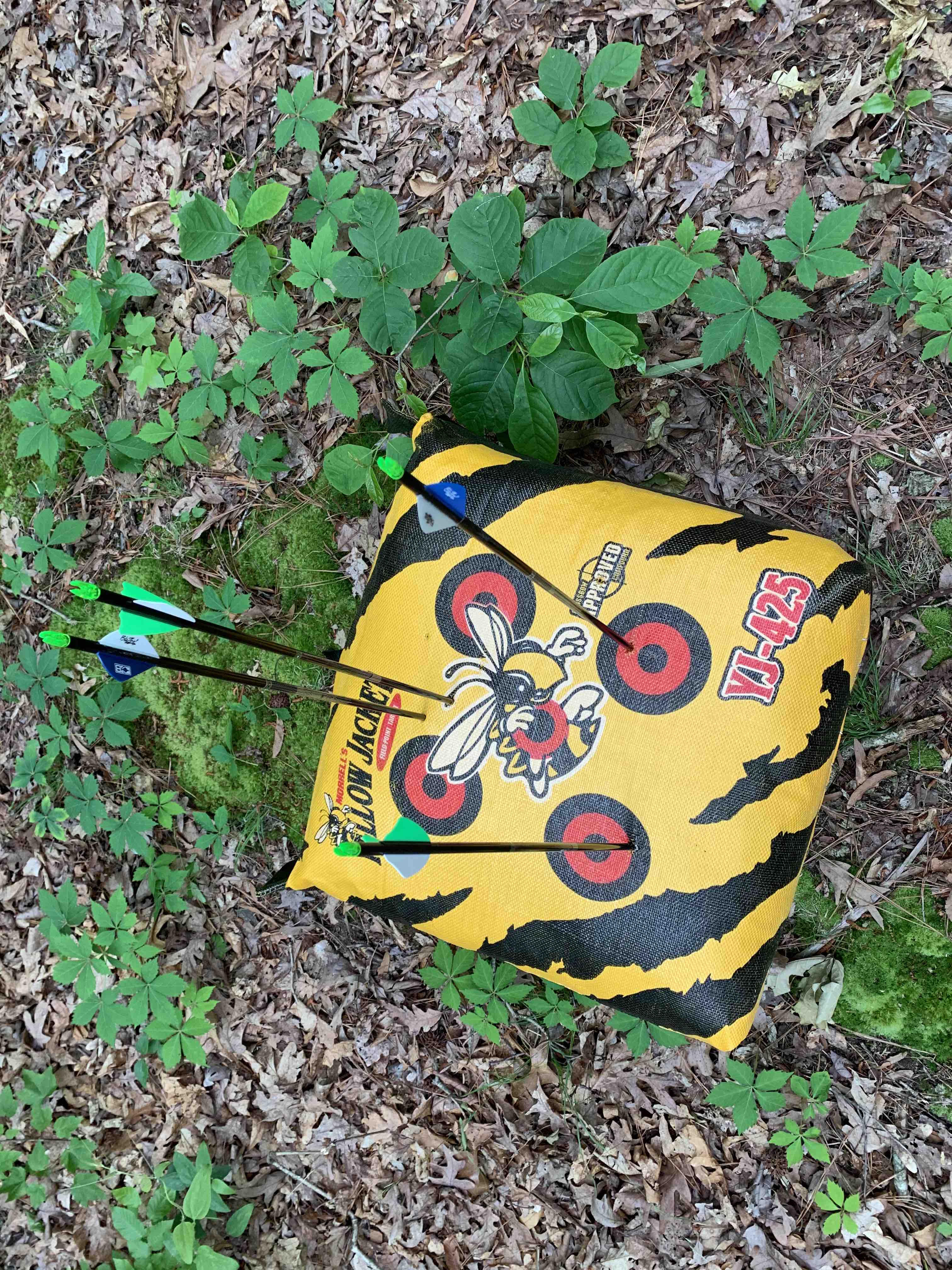 First set of arrows
