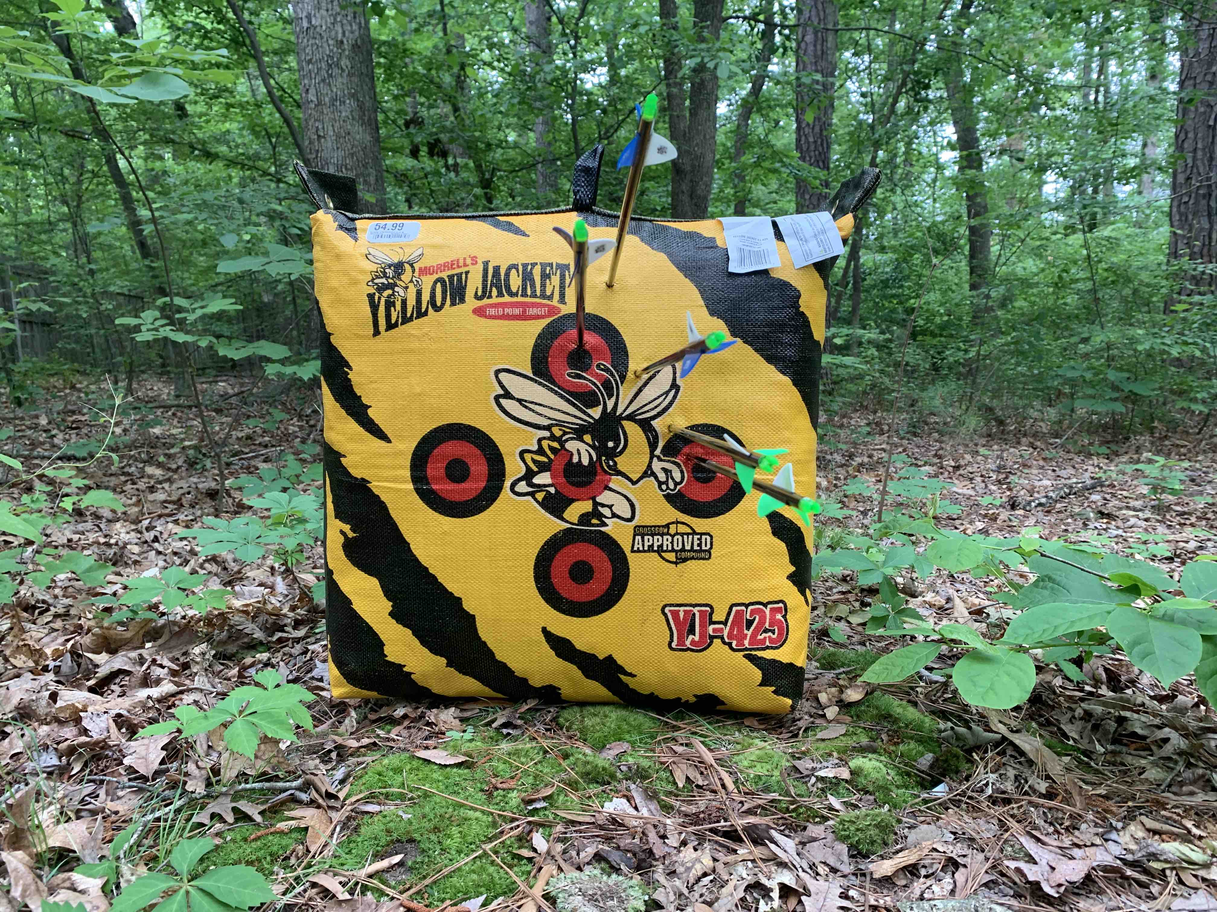 First set of arrows