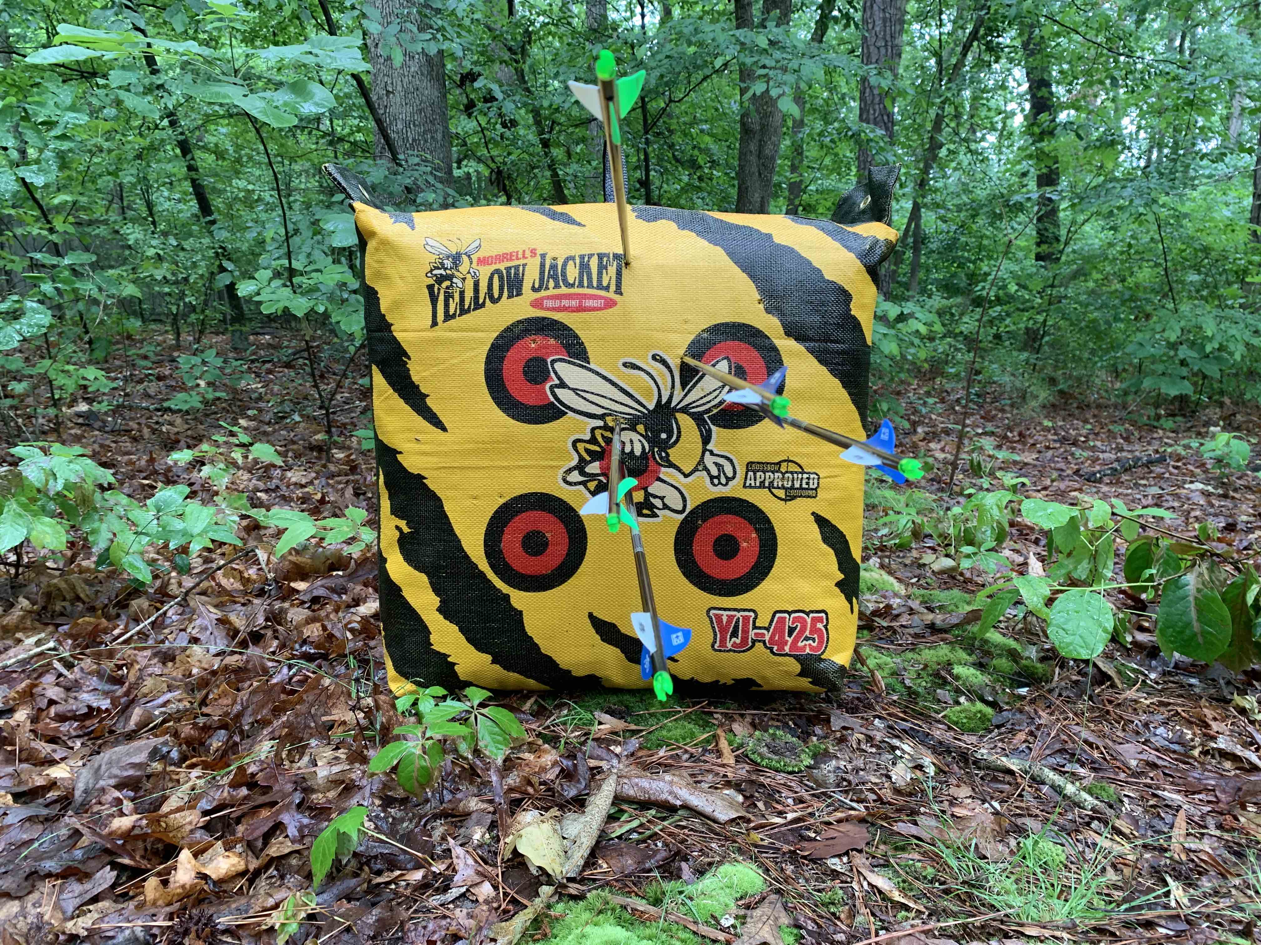 Five arrows from 30 yards