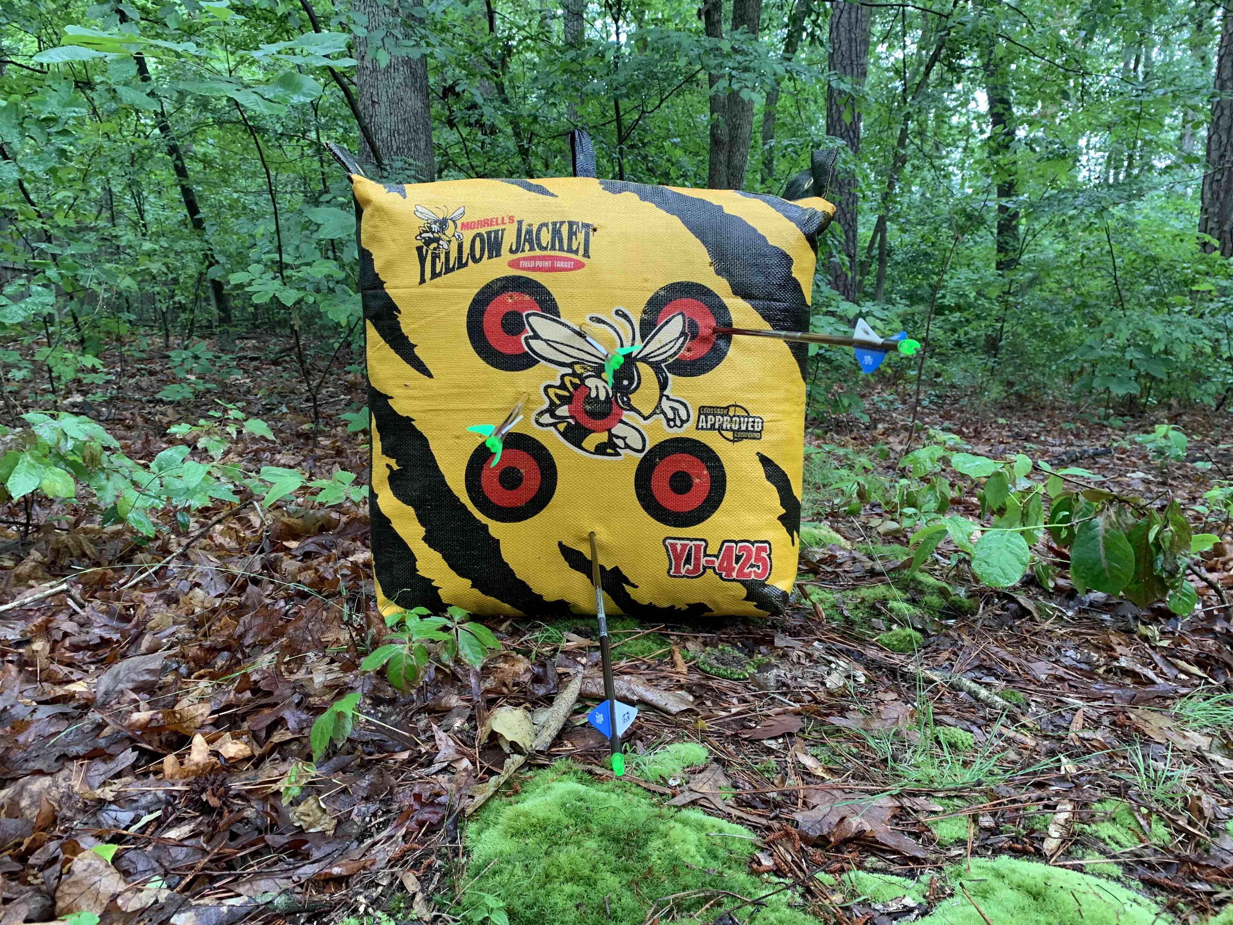 Four arrows from 40 yards