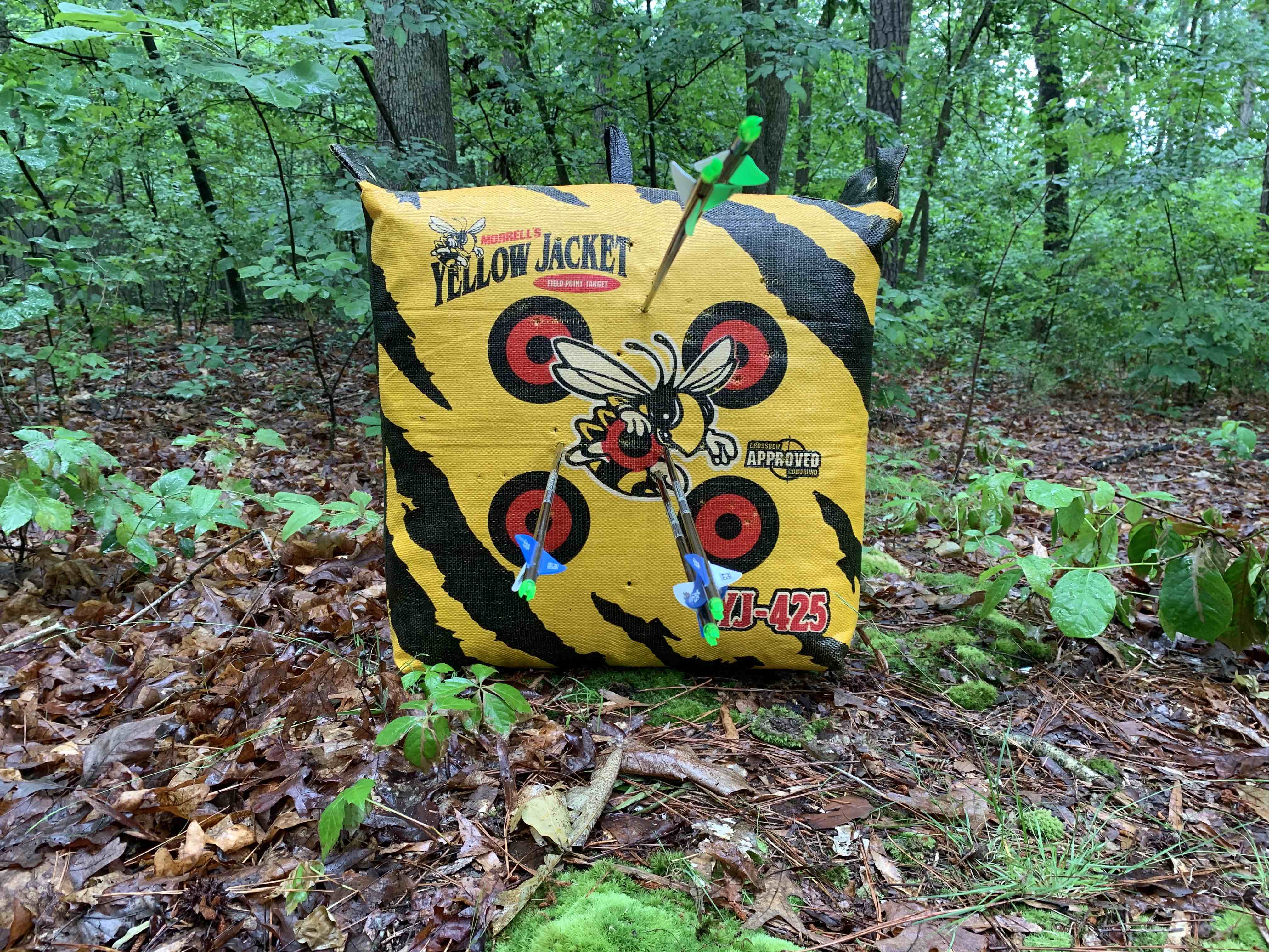 Five arrows from 40 yards, holding slightly low on three shots