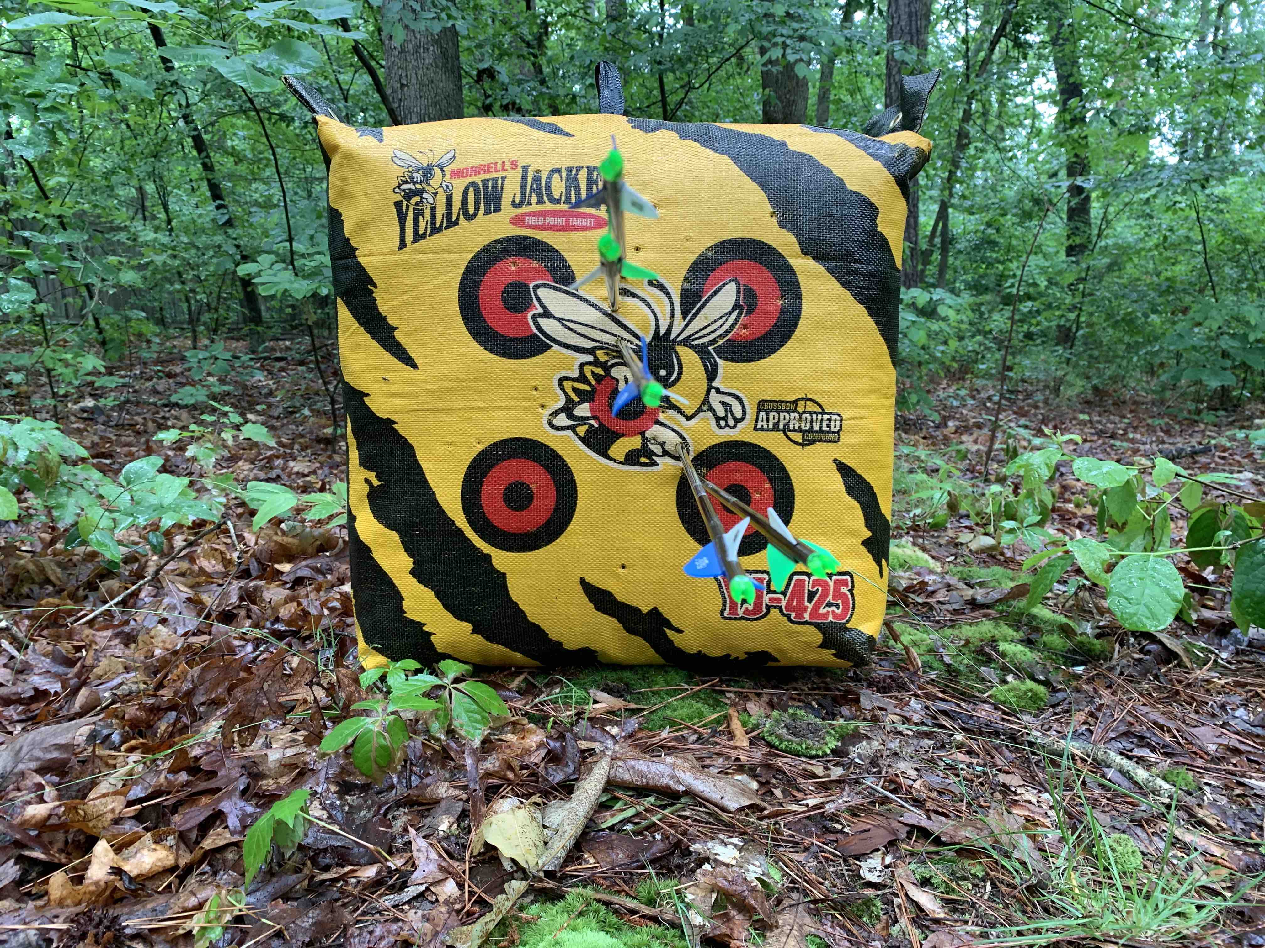 Five arrows from 40 yards